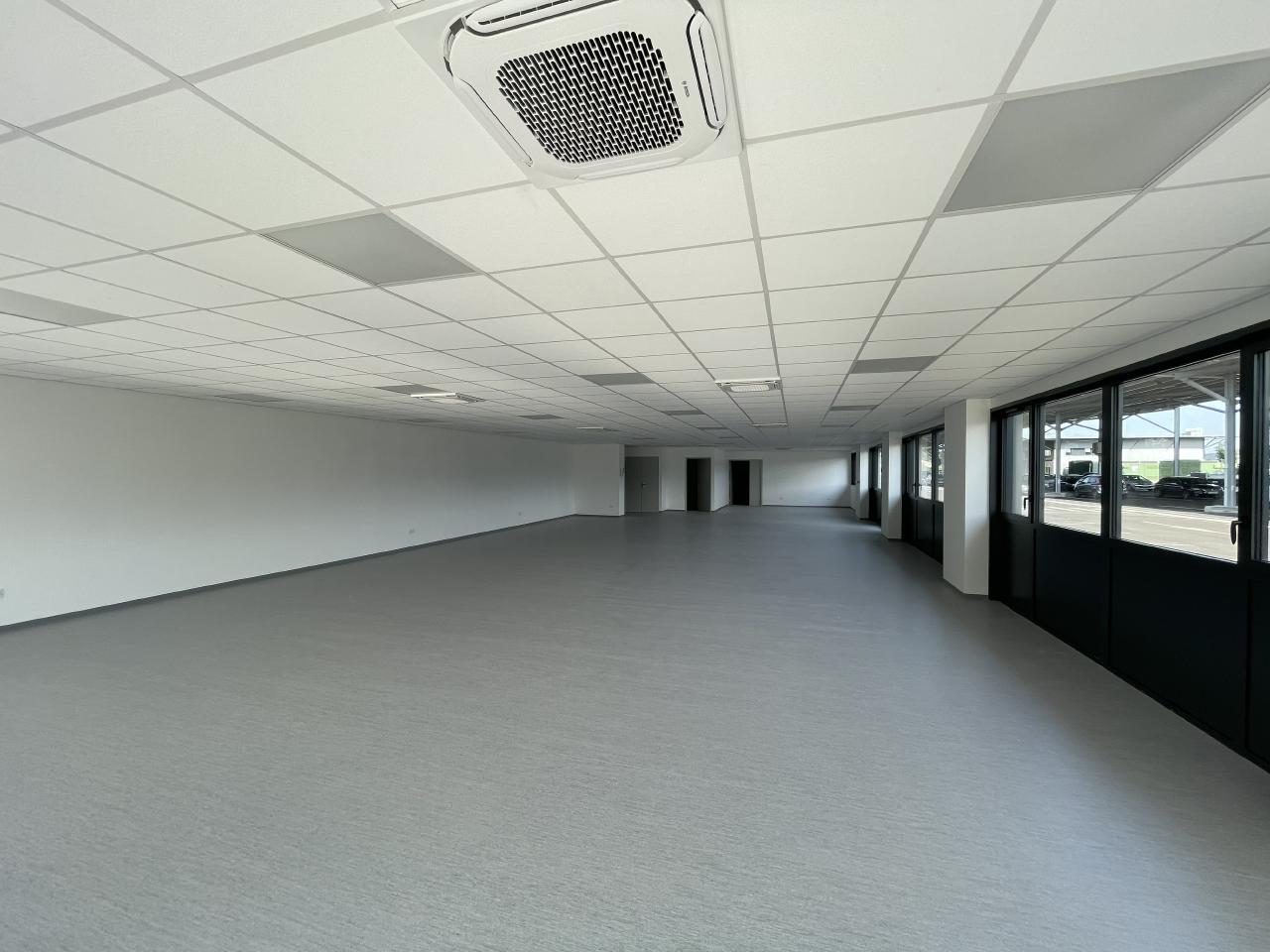 Local d'activité Plaisance-du-Touch 777m² Location local d'activité Plaisance-du-Touch Haute-Garonne OLACT2428165 0